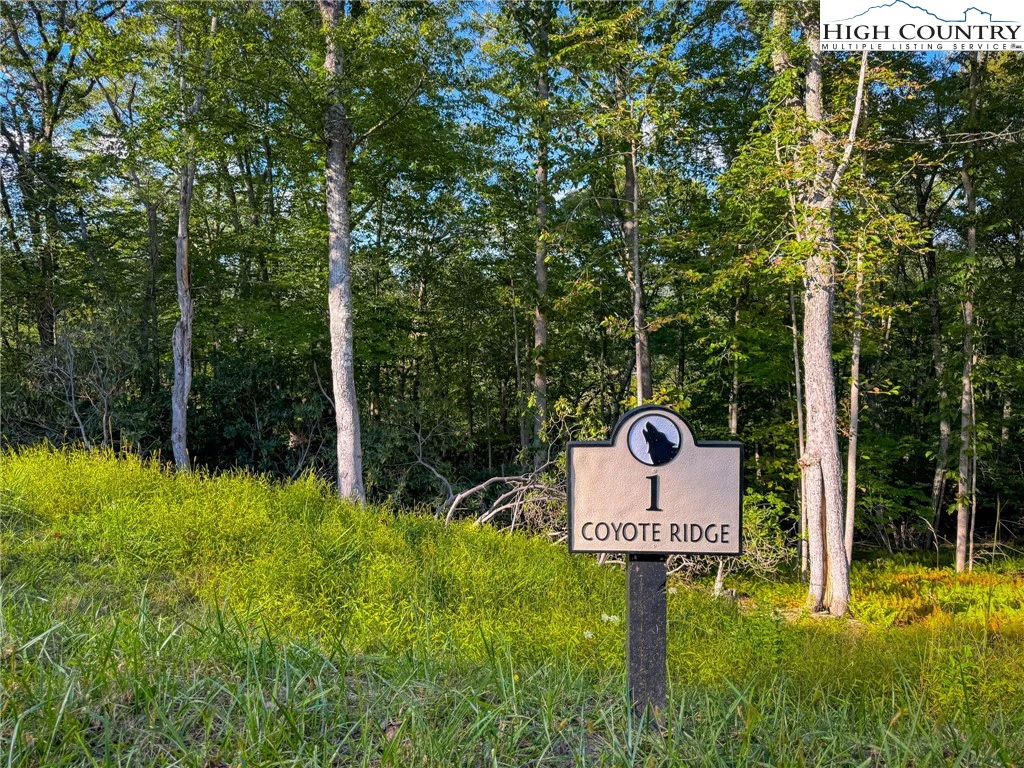 Image number 1 for the current listing
