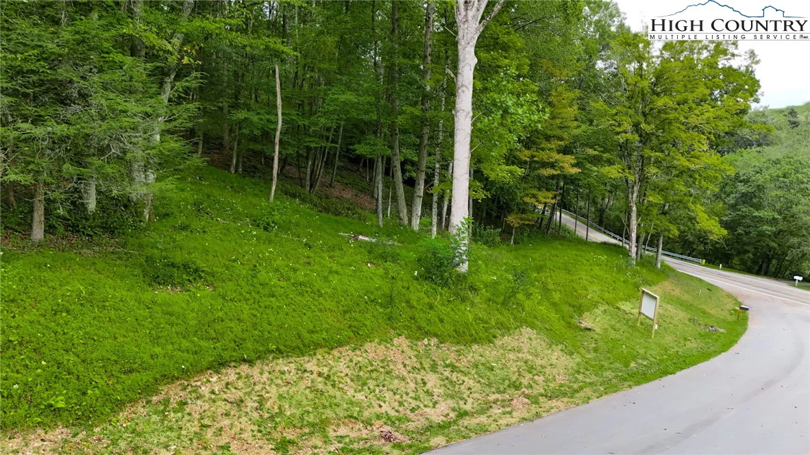 Image number 12 for the current listing