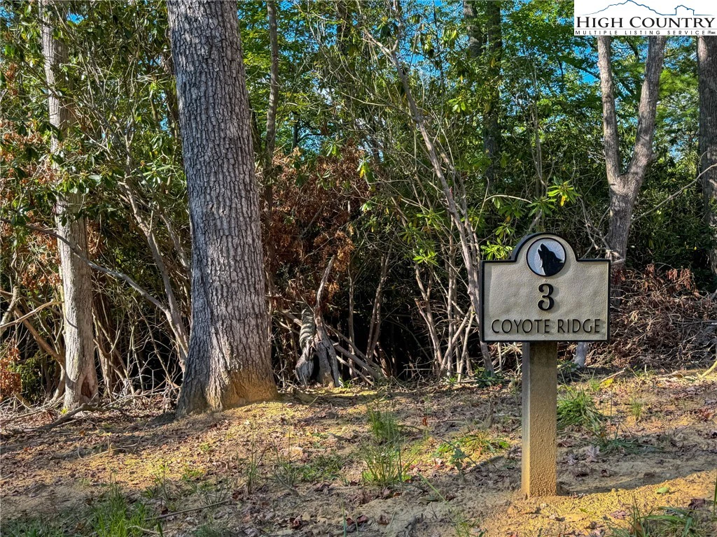 Image number 1 for the current listing
