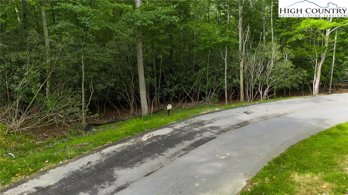 Image number 11 for the current listing