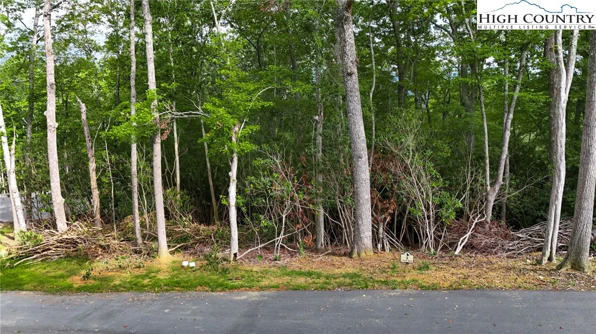 Image number 15 for the current listing