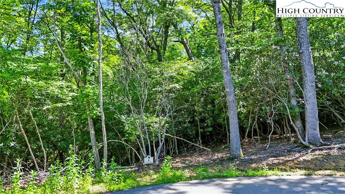 Image number 9 for the current listing