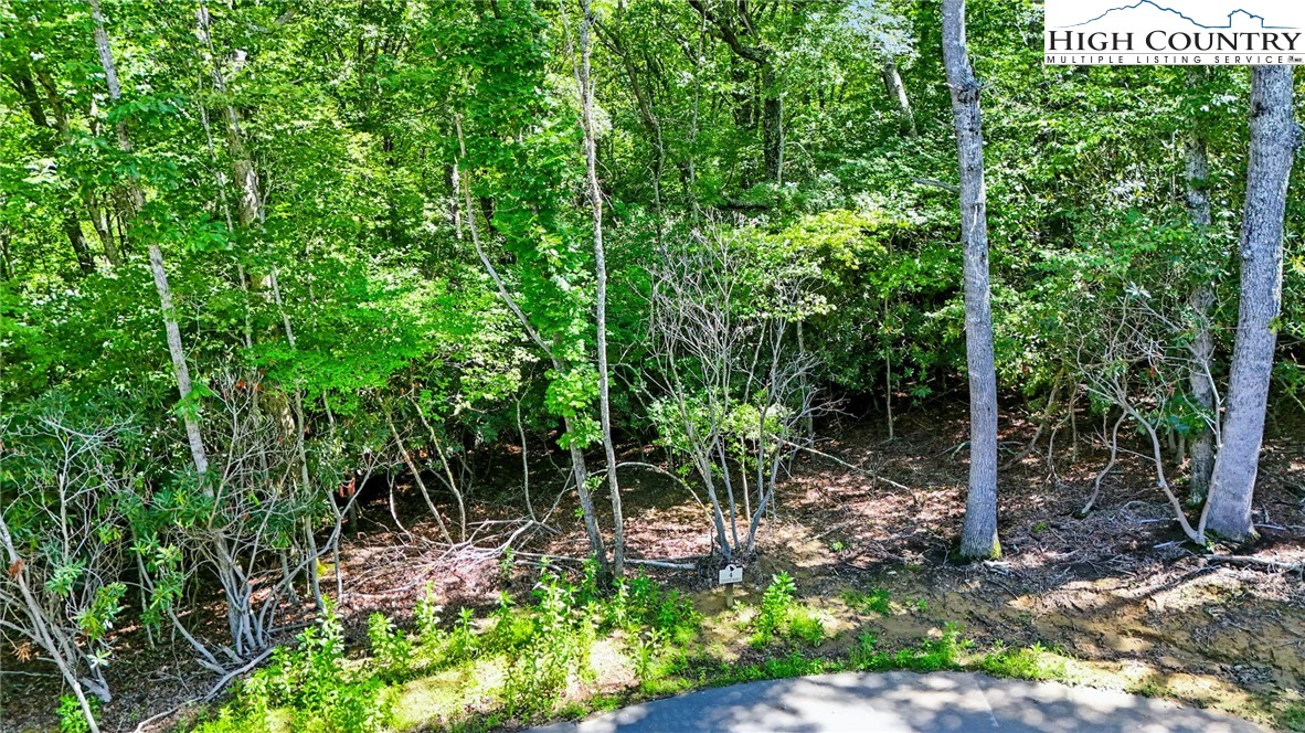 Image number 10 for the current listing