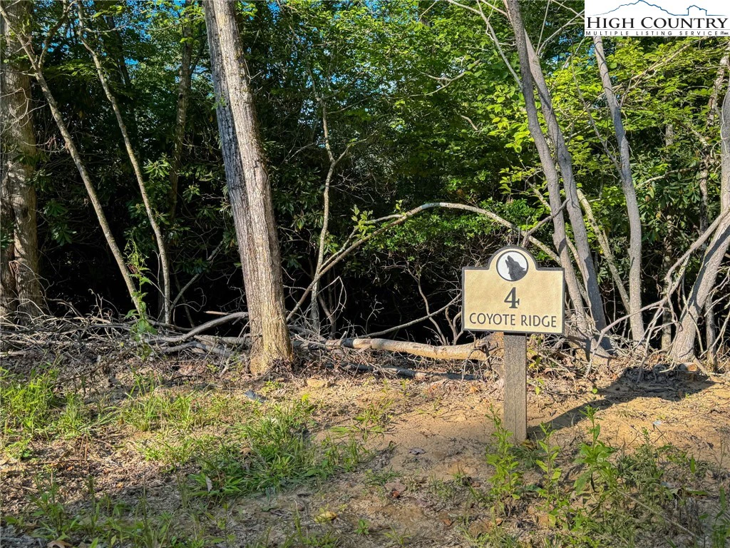 Image number 1 for the current listing