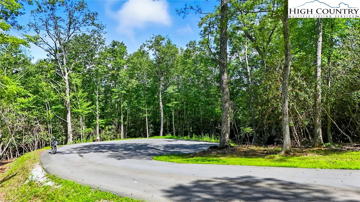 Image number 12 for the current listing