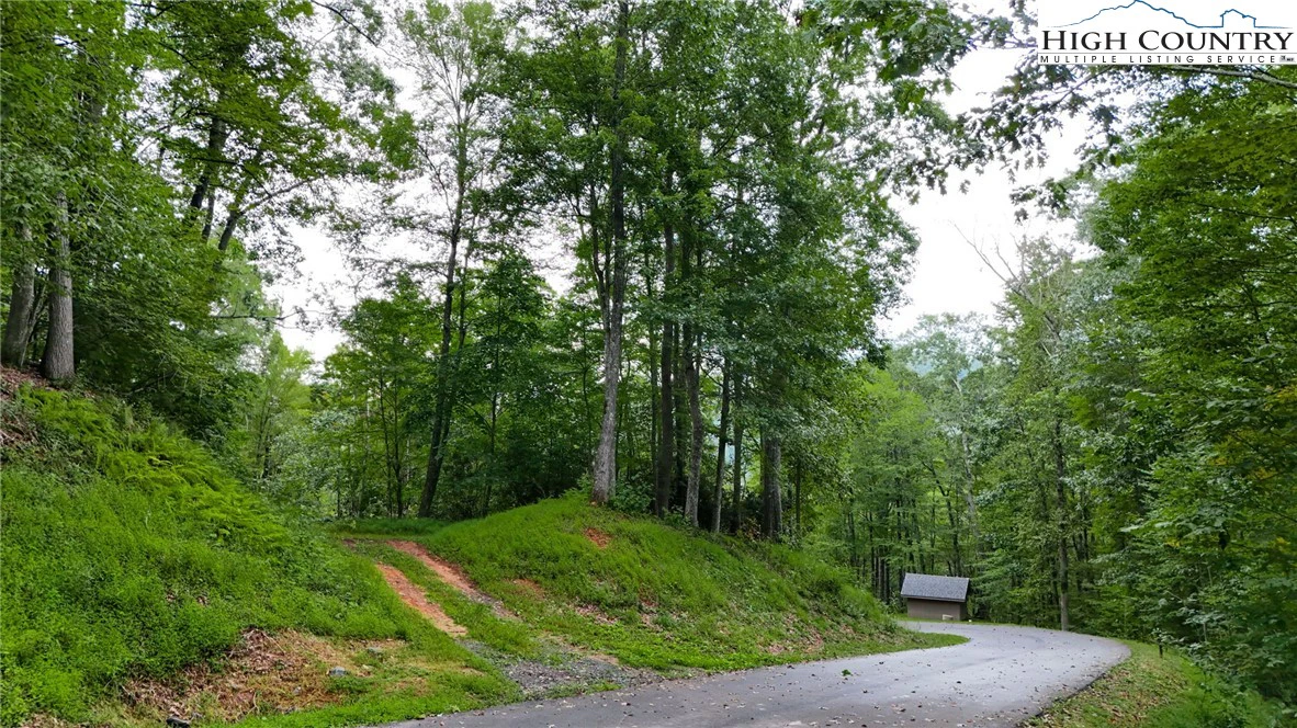 Image number 14 for the current listing