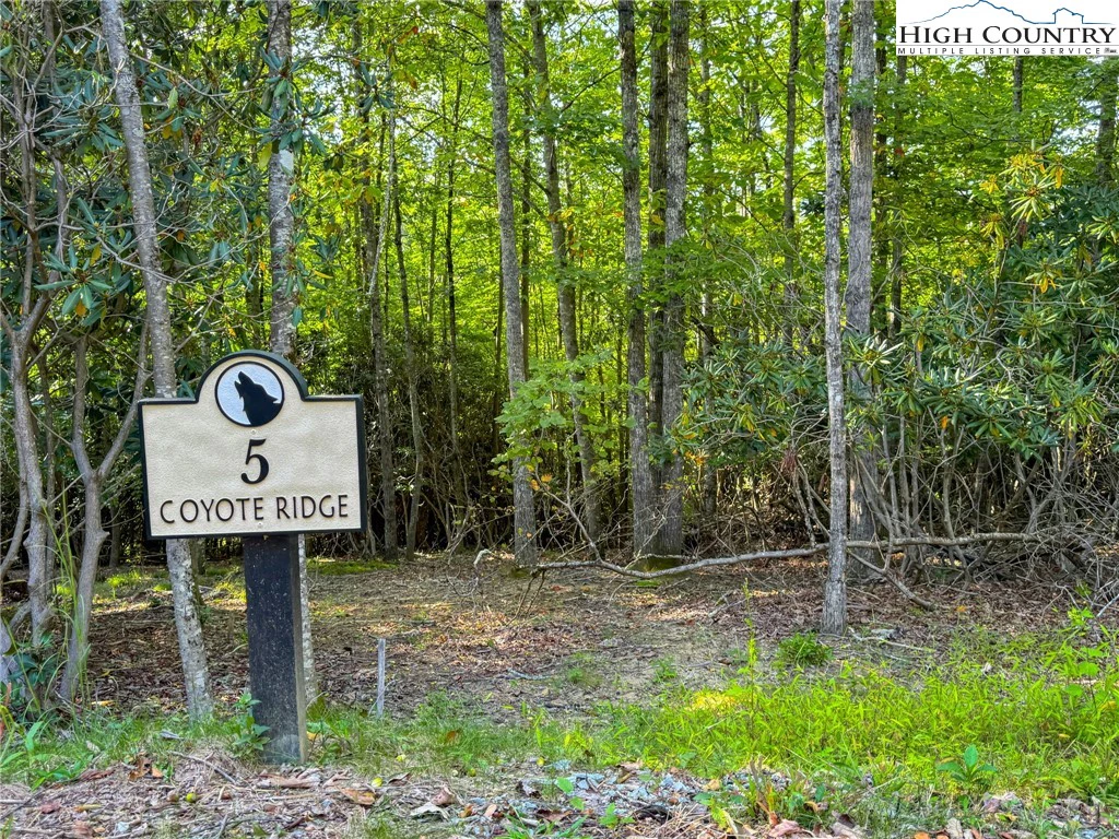 Image number 1 for the current listing