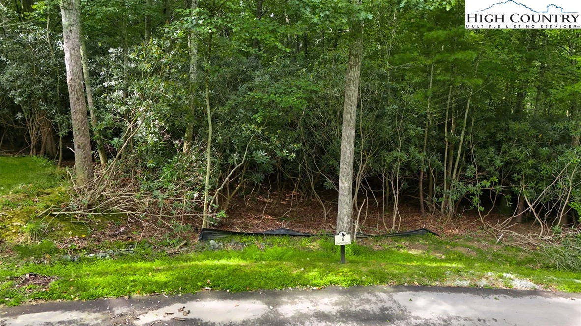 Image number 5 for the current listing
