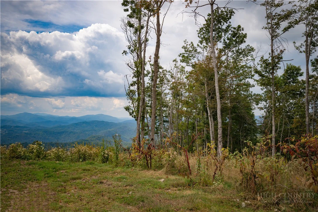 Image number 3 for the current listing