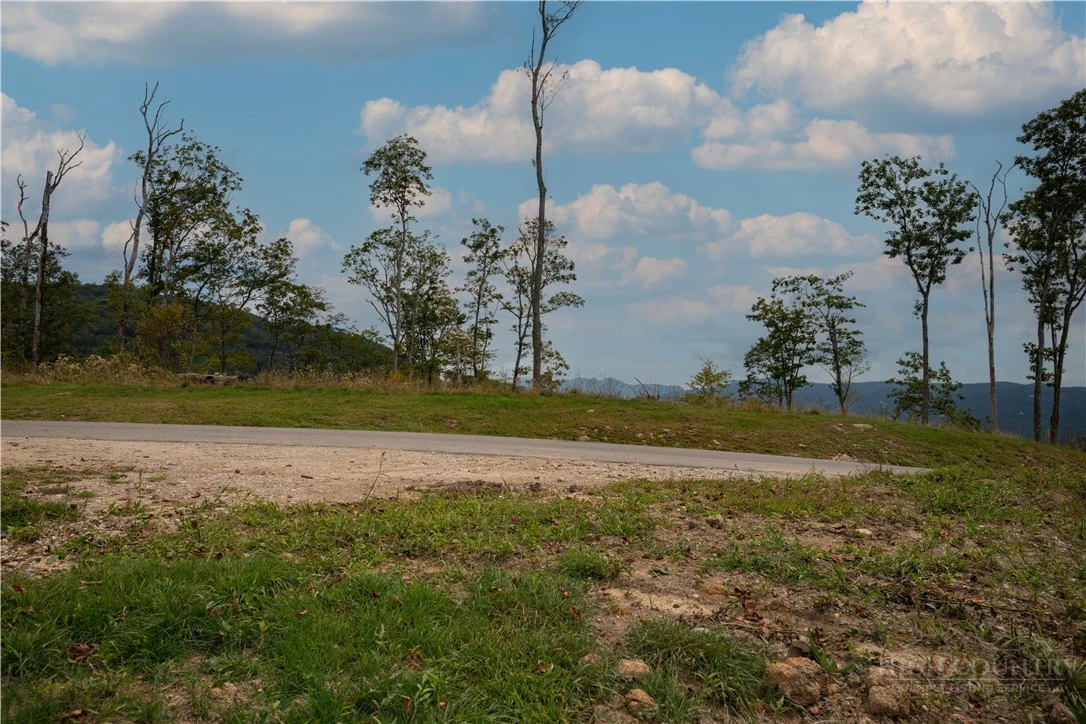 Image number 5 for the current listing