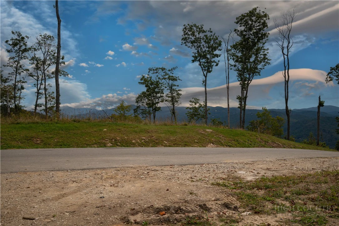 Image number 6 for the current listing