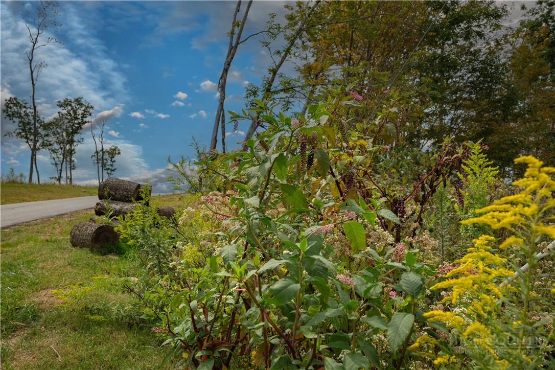 Image number 7 for the current listing