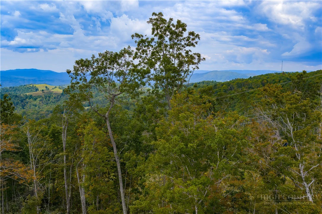 Image number 9 for the current listing