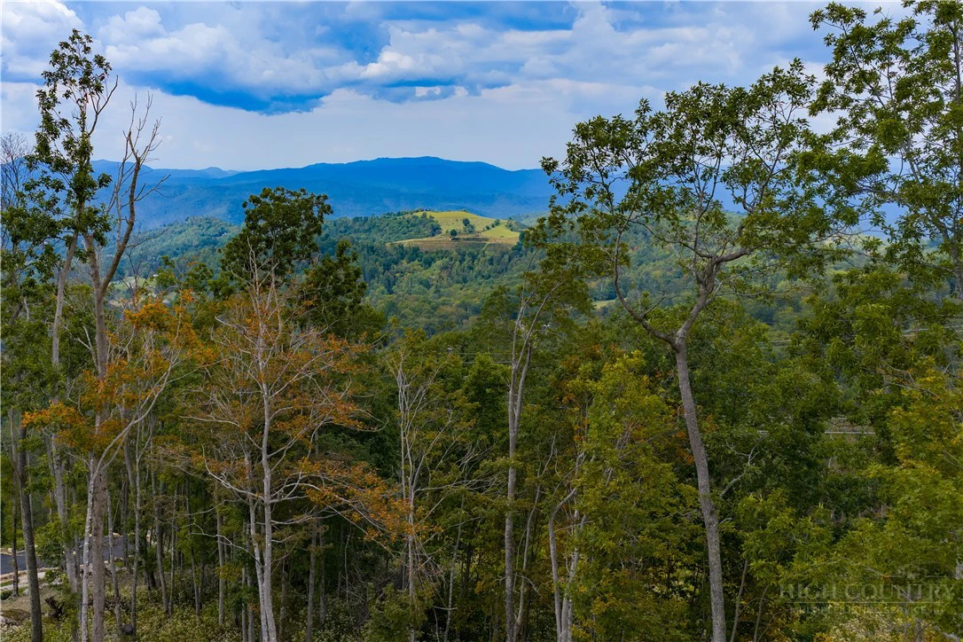 Image number 10 for the current listing
