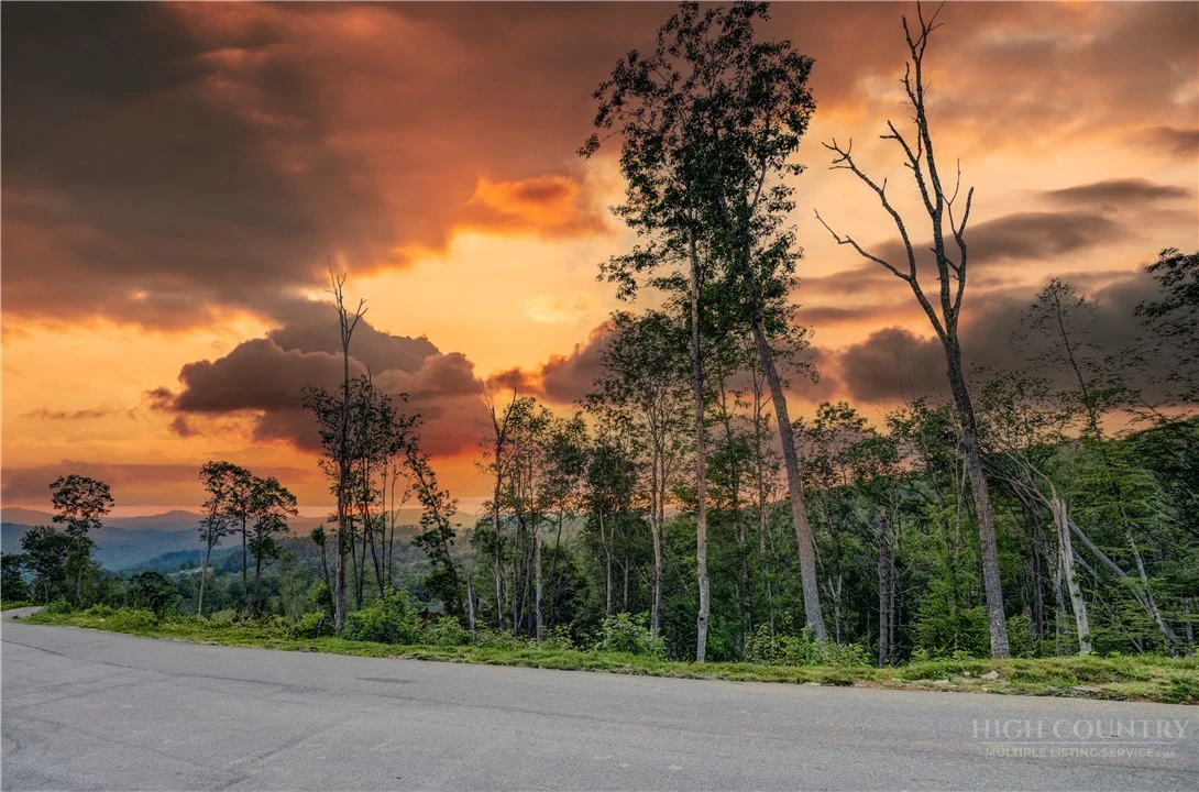 Image number 2 for the current listing
