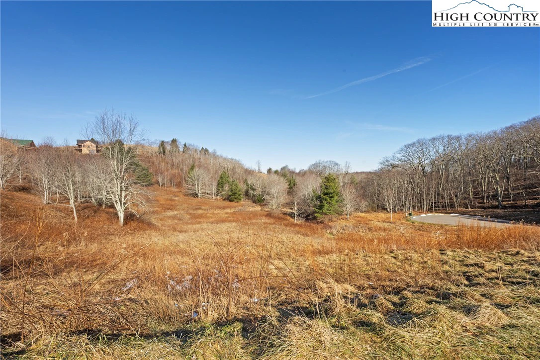 Image number 1 for the current listing