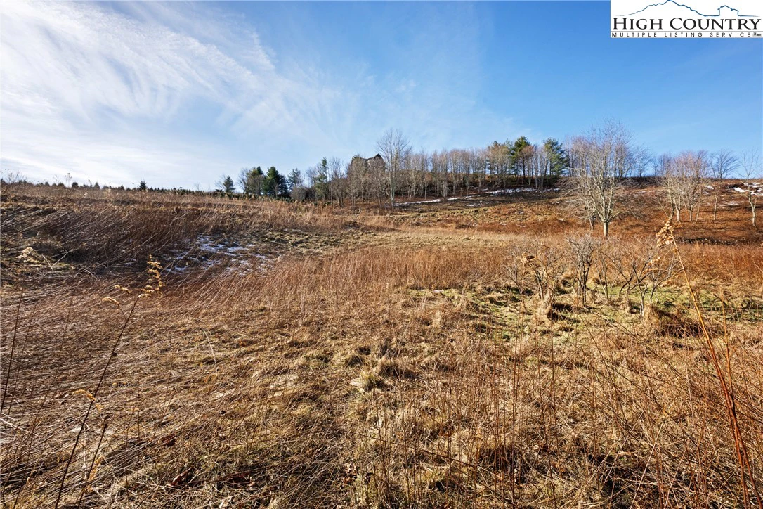 Image number 16 for the current listing