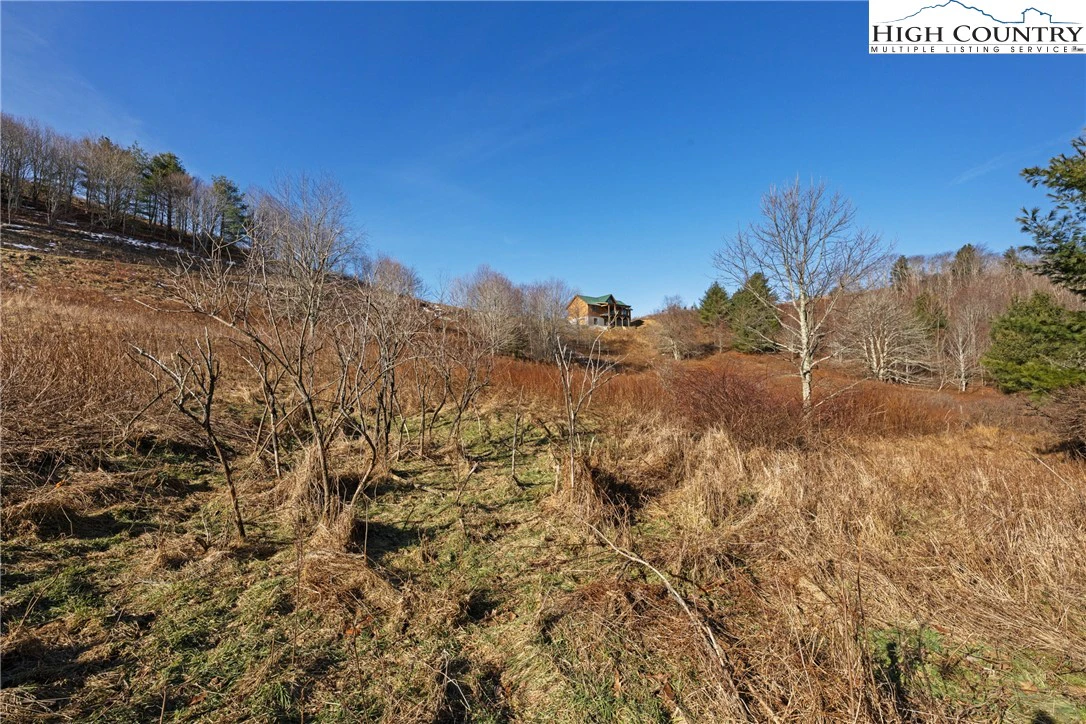 Image number 10 for the current listing