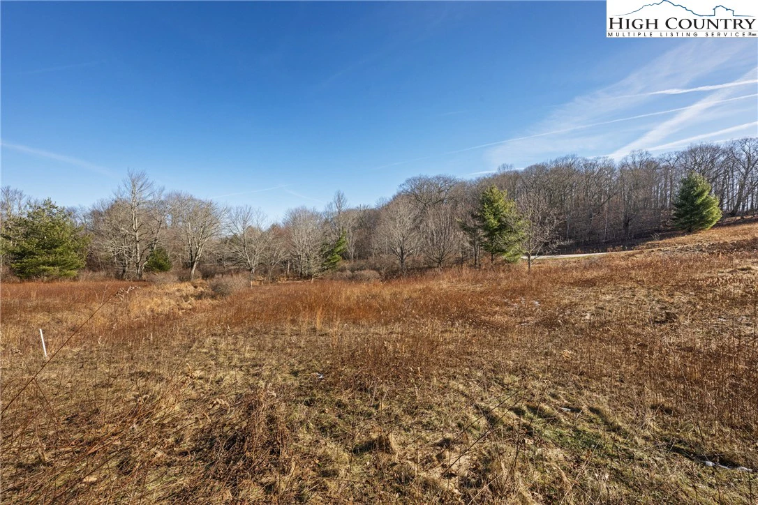 Image number 9 for the current listing
