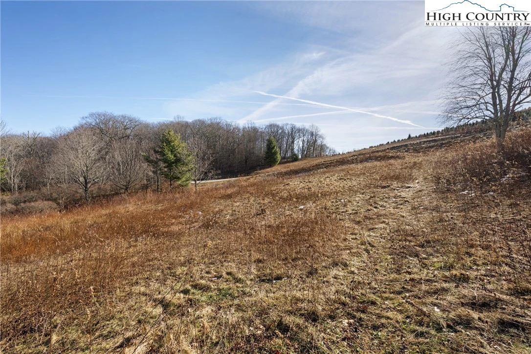 Image number 8 for the current listing