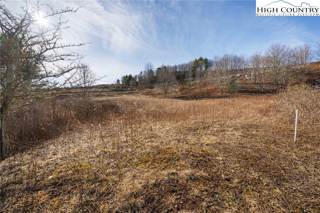 Image number 7 for the current listing