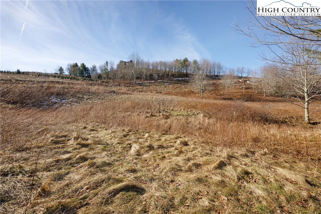 Image number 6 for the current listing