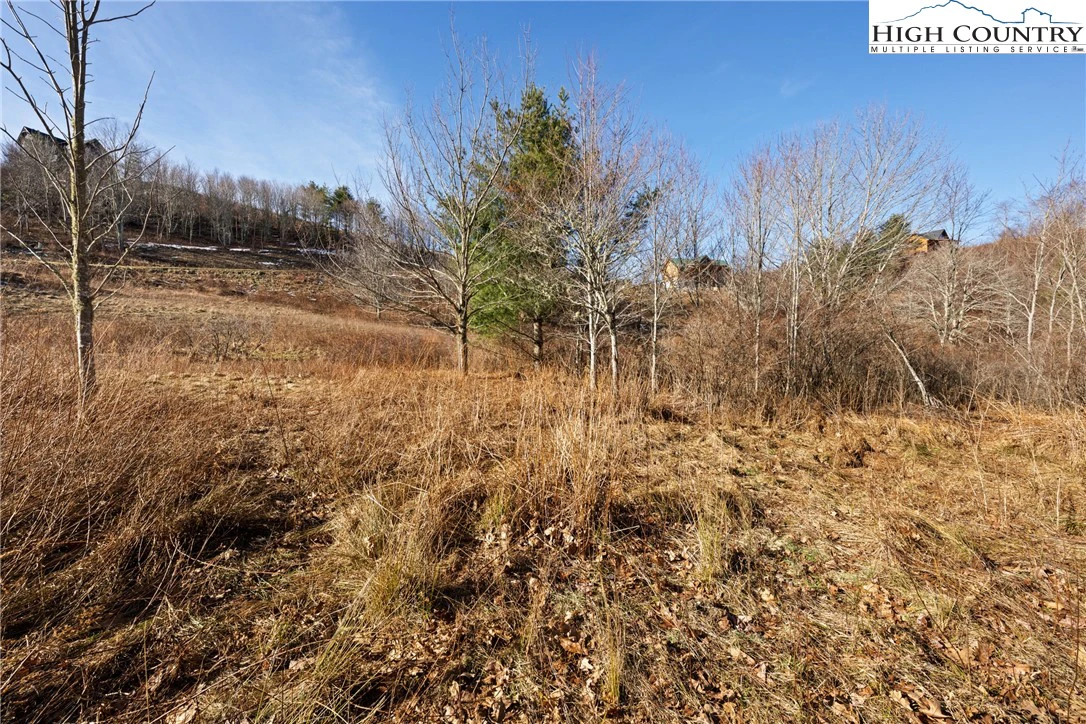 Image number 5 for the current listing