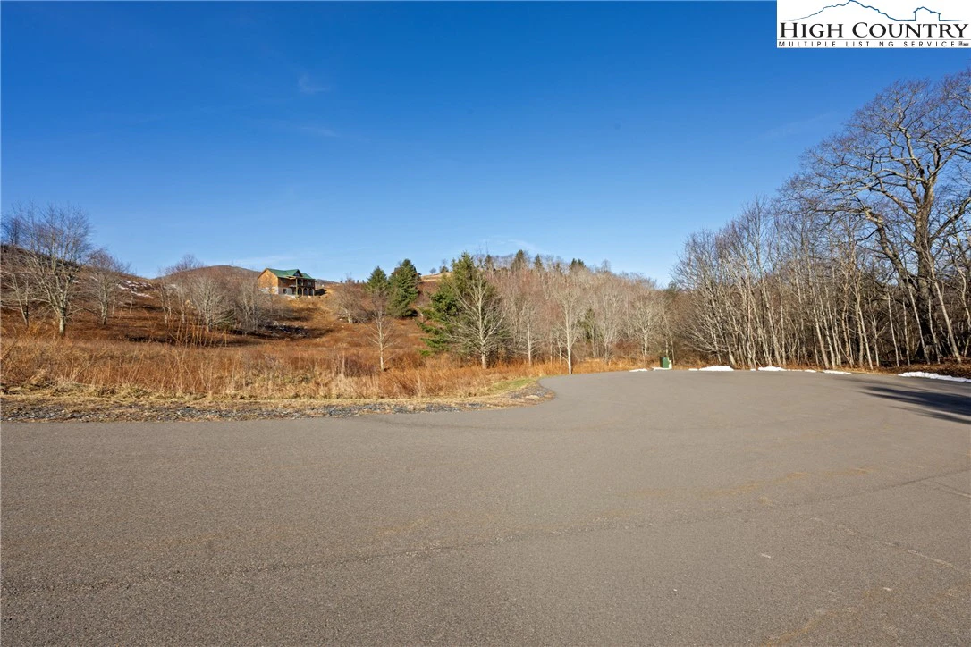 Image number 3 for the current listing