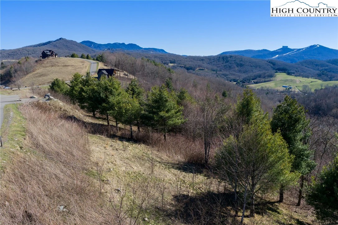 Image number 7 for the current listing