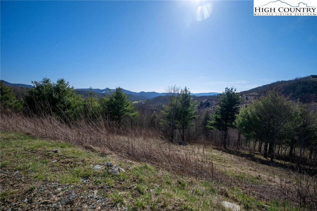Image number 3 for the current listing