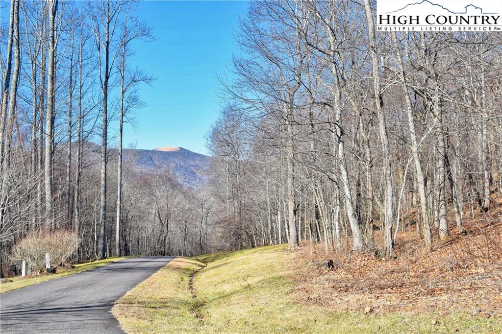 Image number 1 for the current listing