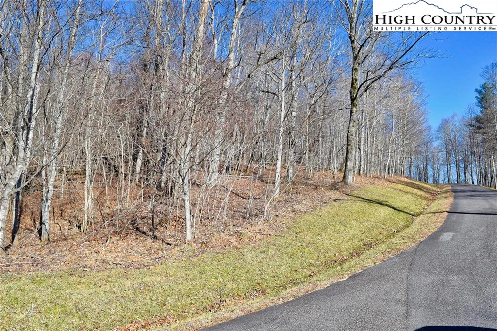 Image number 3 for the current listing