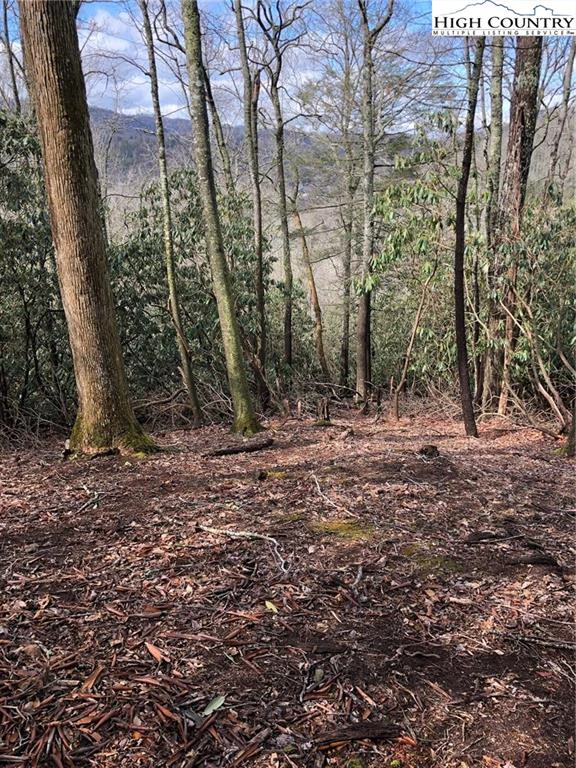Image number 1 for the current listing