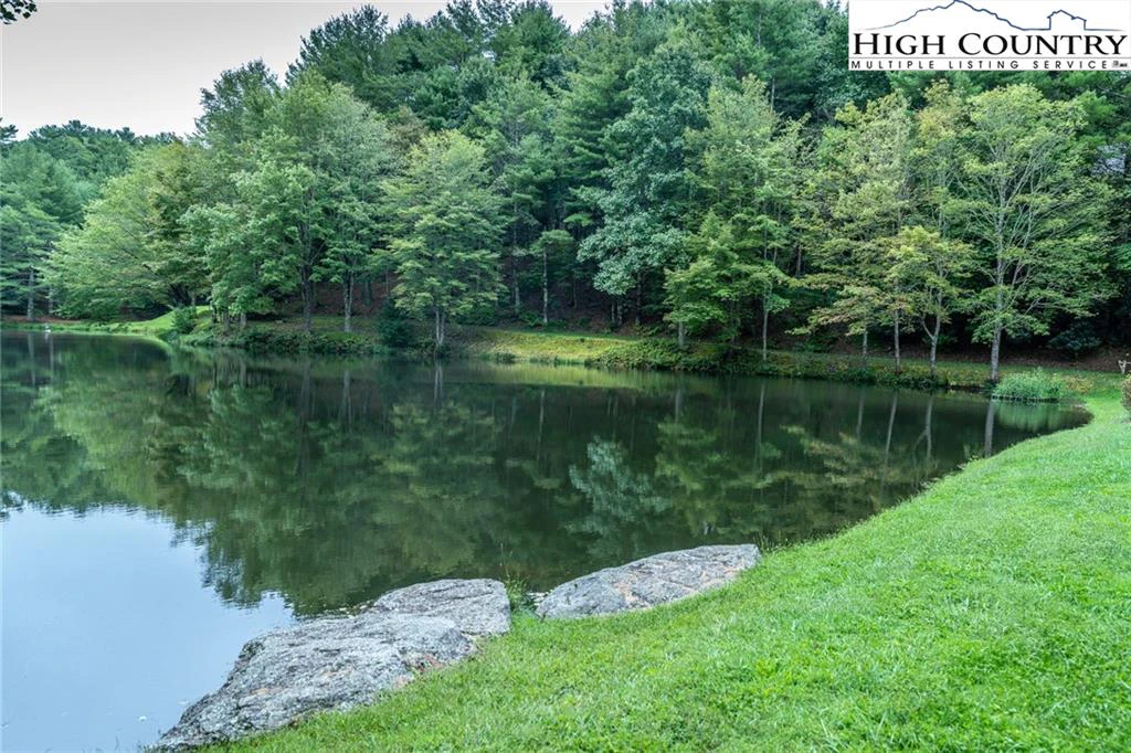 Image number 14 for the current listing
