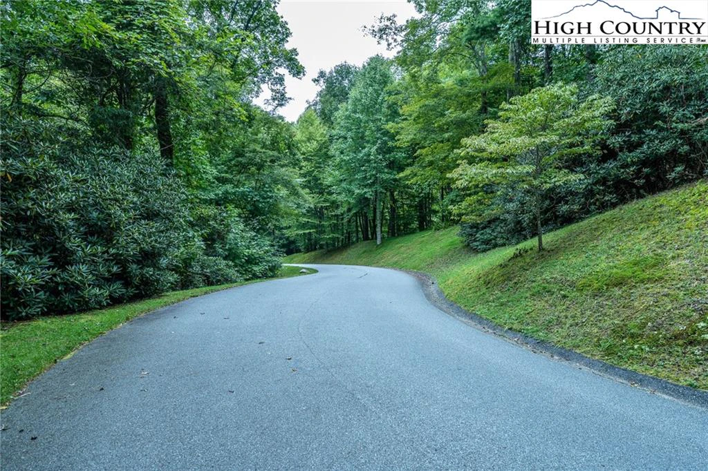 Image number 4 for the current listing