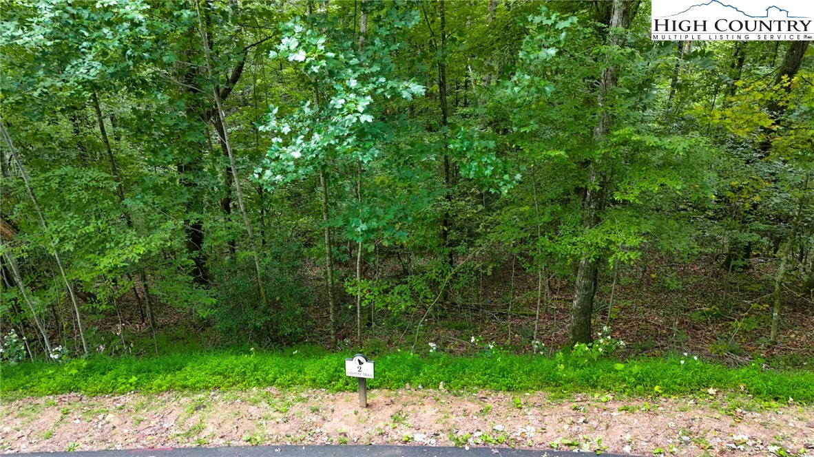Image number 5 for the current listing