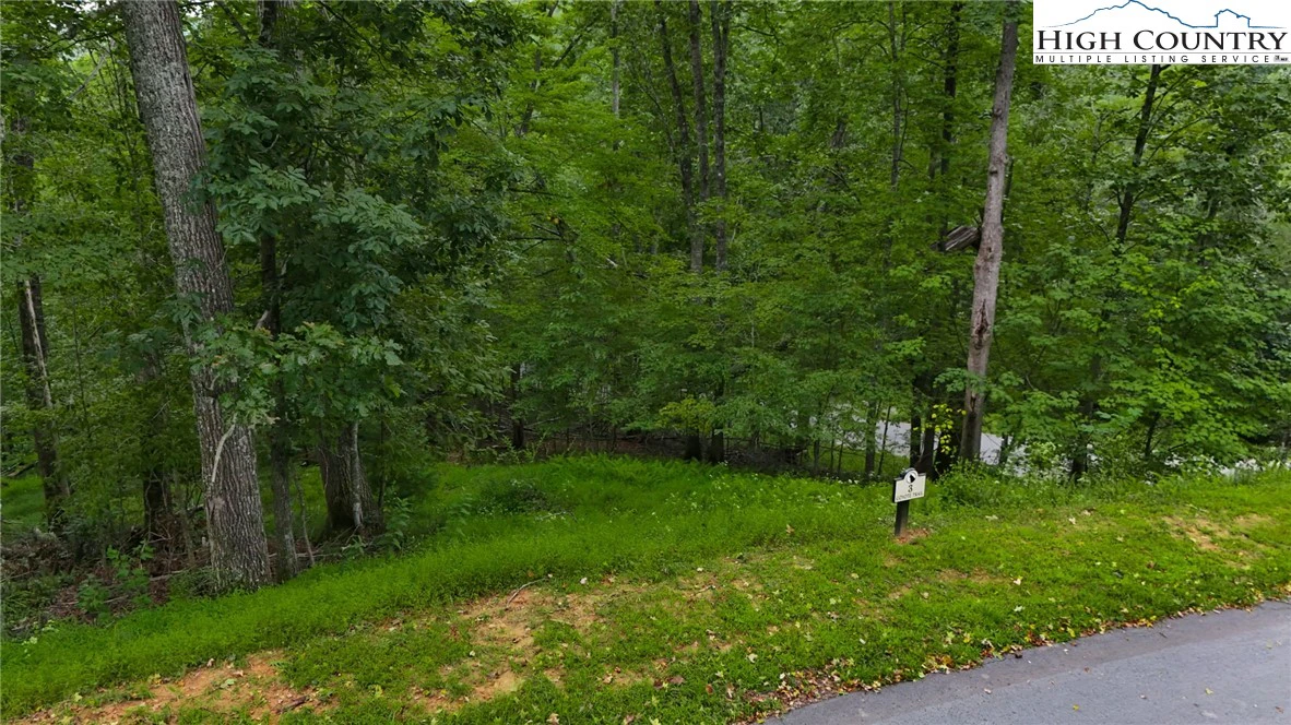Image number 5 for the current listing