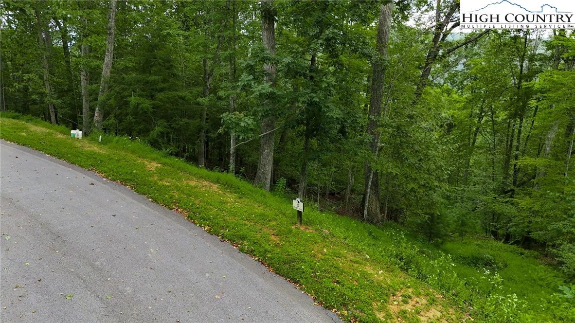 Image number 6 for the current listing