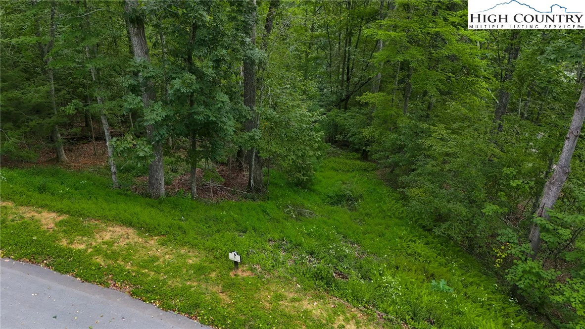 Image number 9 for the current listing