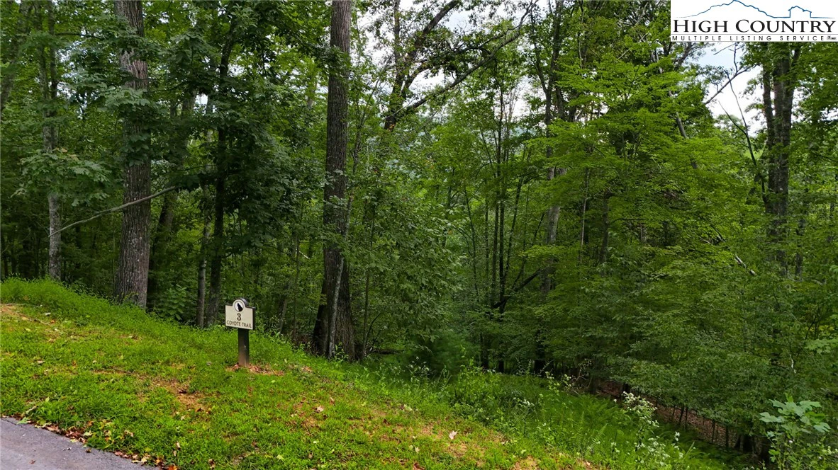 Image number 12 for the current listing