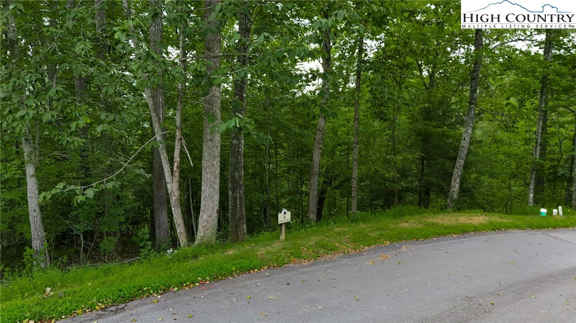 Image number 4 for the current listing