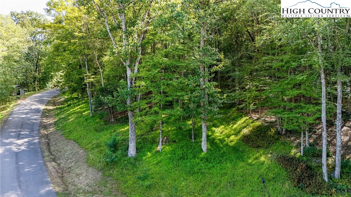 Image number 9 for the current listing