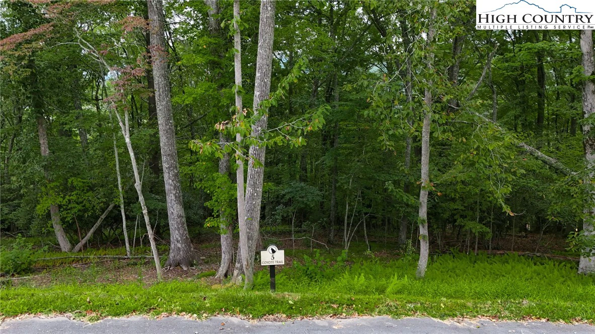 Image number 4 for the current listing