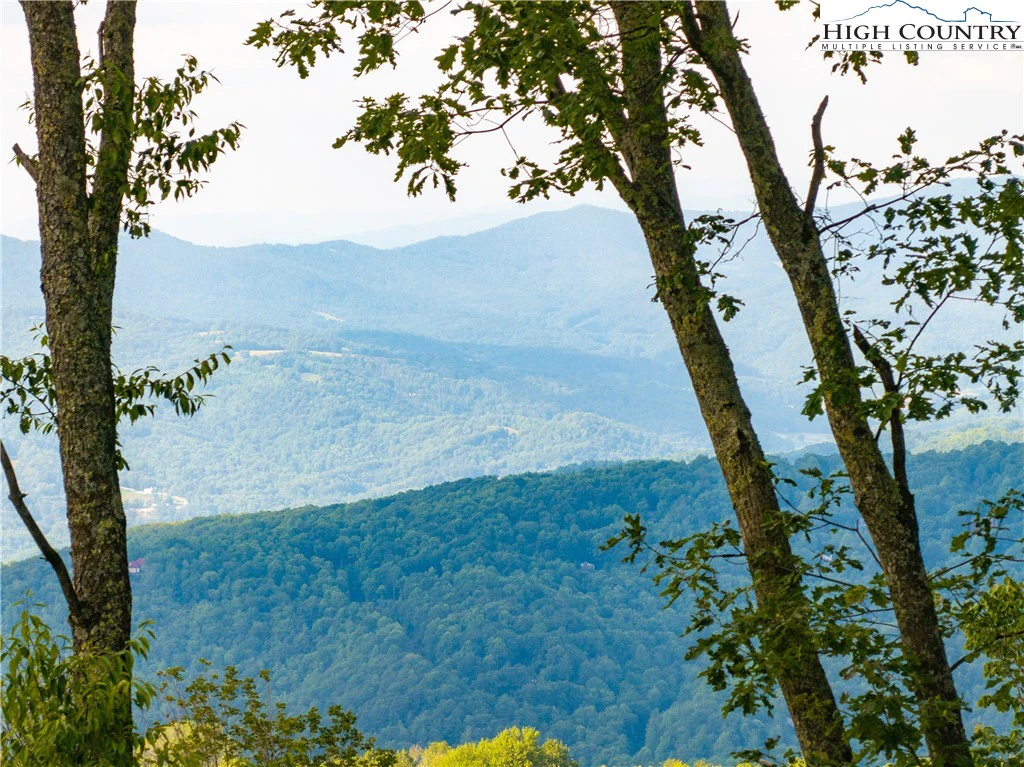 Image number 1 for the current listing