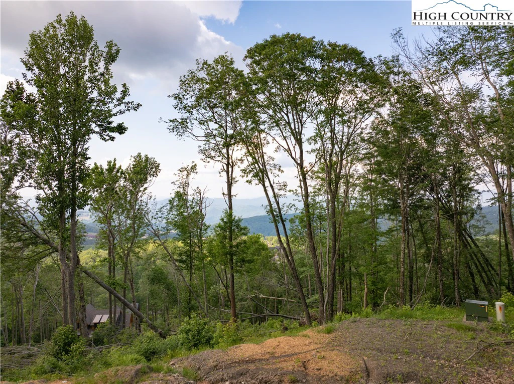 Image number 3 for the current listing