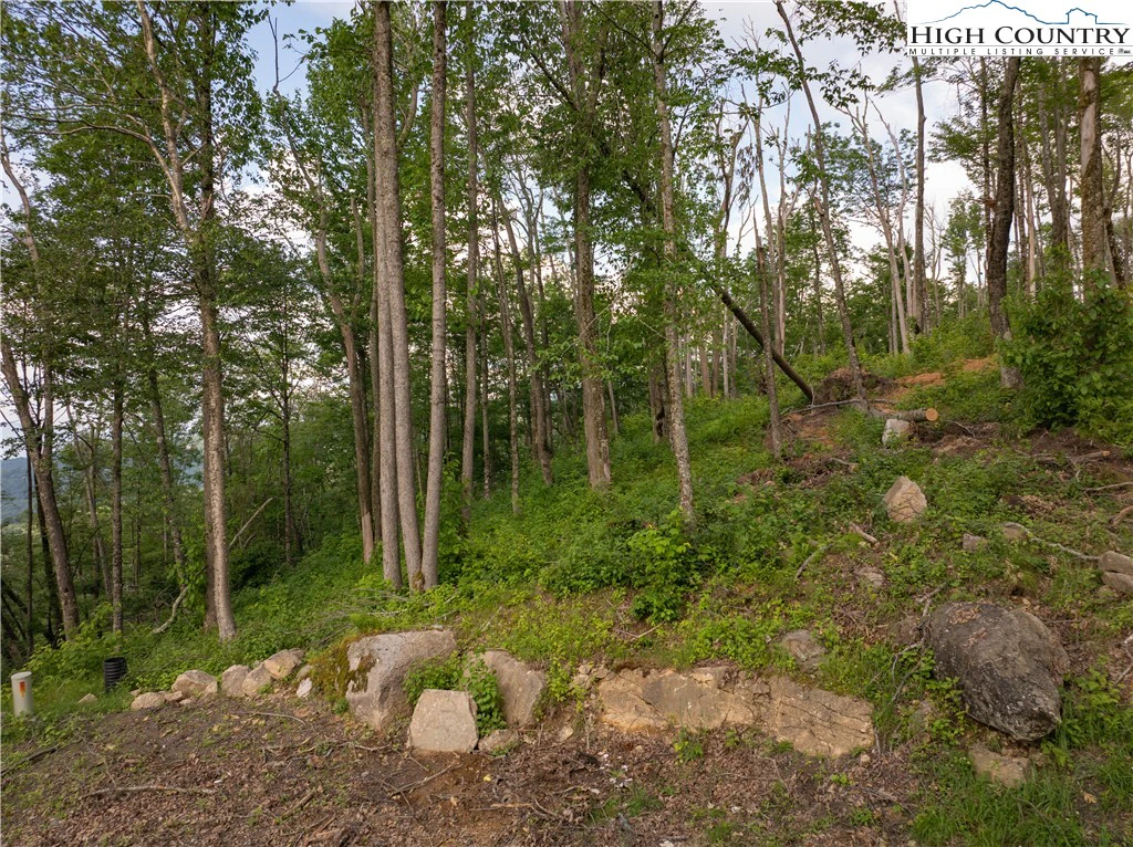 Image number 5 for the current listing