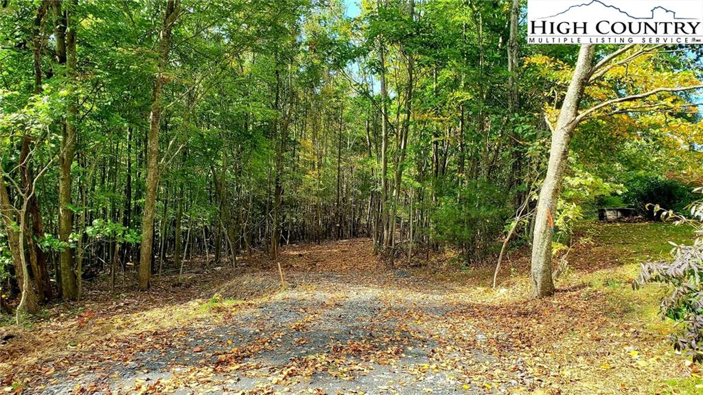 Image number 1 for the current listing