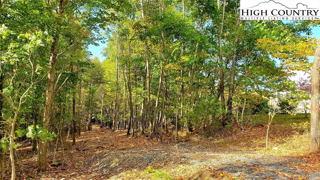 Image number 3 for the current listing