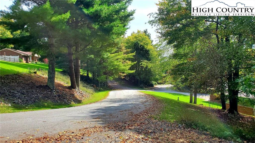 Image number 5 for the current listing