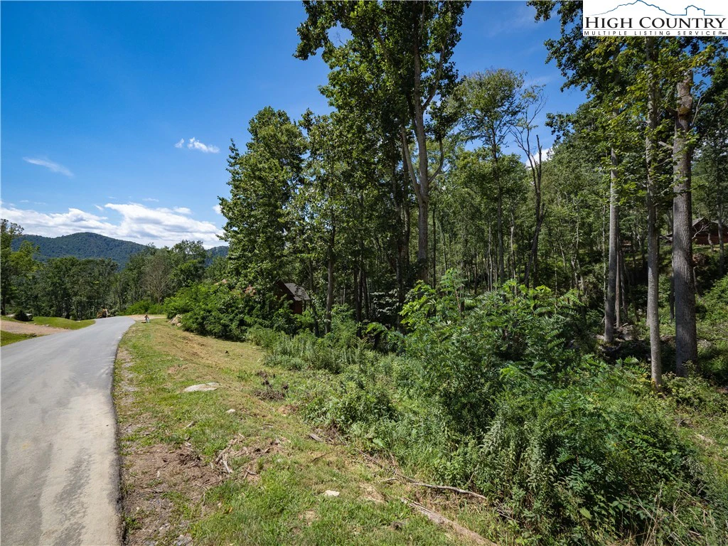 Image number 1 for the current listing